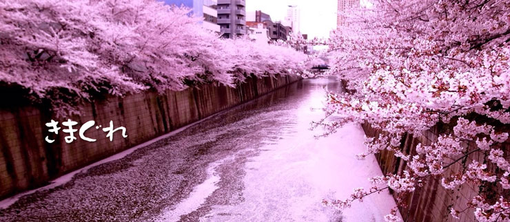 PRIMP アーティストJunkoのブロブ